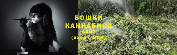 сатива Каменск-Шахтинский
