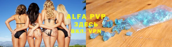 сатива Каменск-Шахтинский