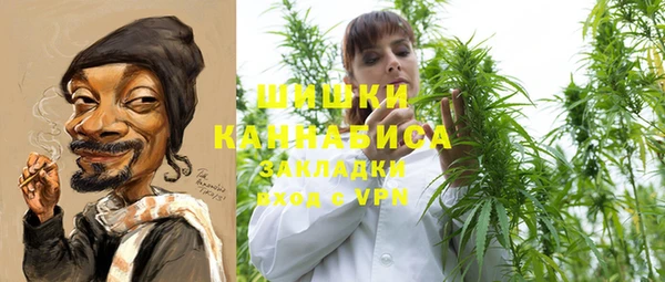 сатива Каменск-Шахтинский