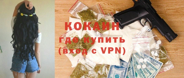 сатива Каменск-Шахтинский