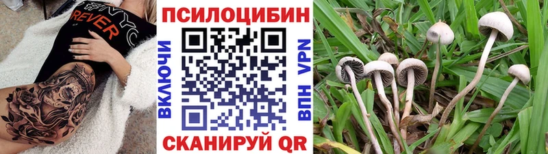 Псилоцибиновые грибы мицелий Болхов