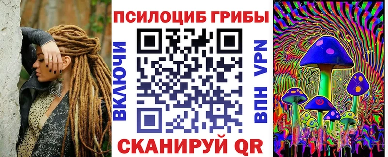 Псилоцибиновые грибы MAGIC MUSHROOMS  Купить закладки  Болхов 